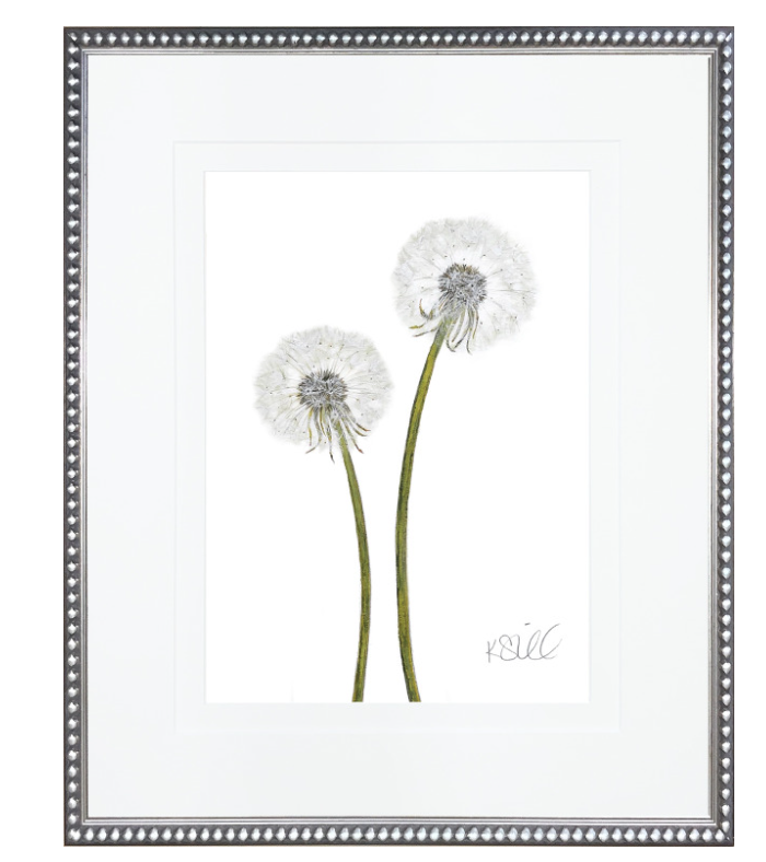 Dandelion 2