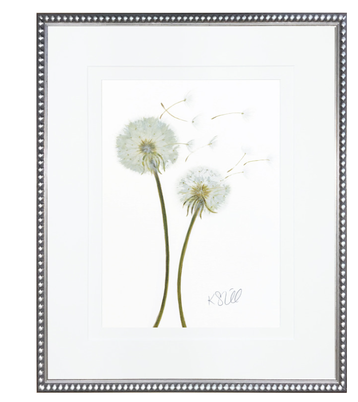 Dandelion 4