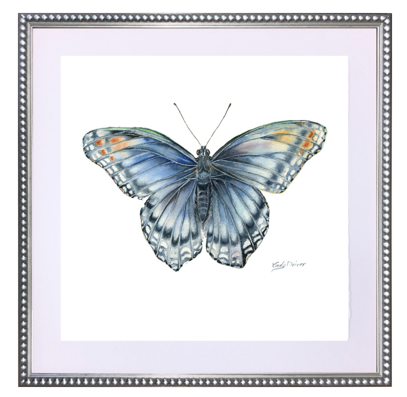 Butterfly 2