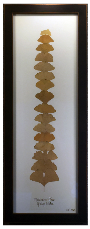 Ginko Giclee