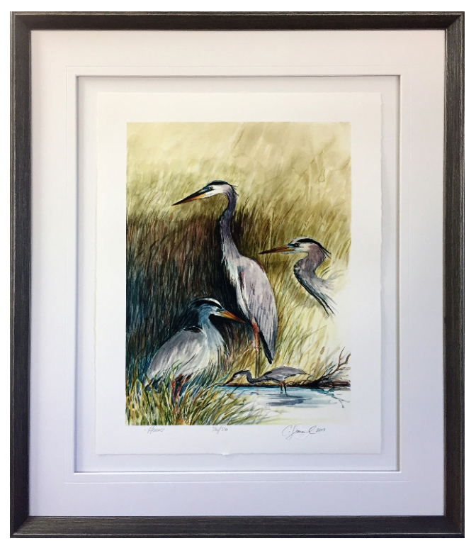 Herons