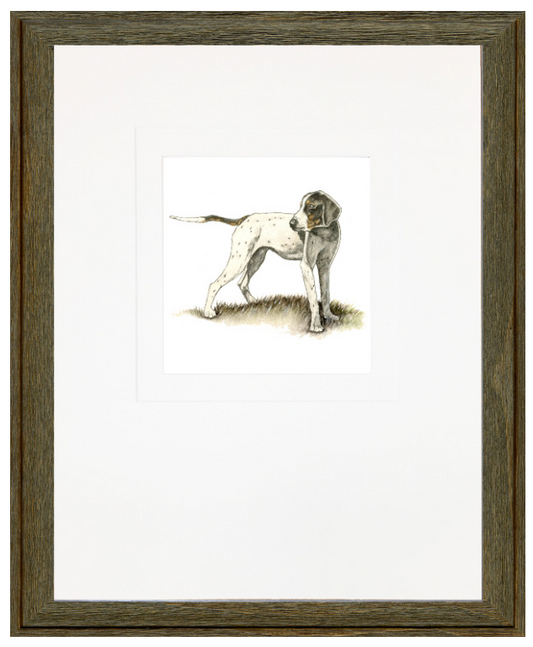 Bird Dog