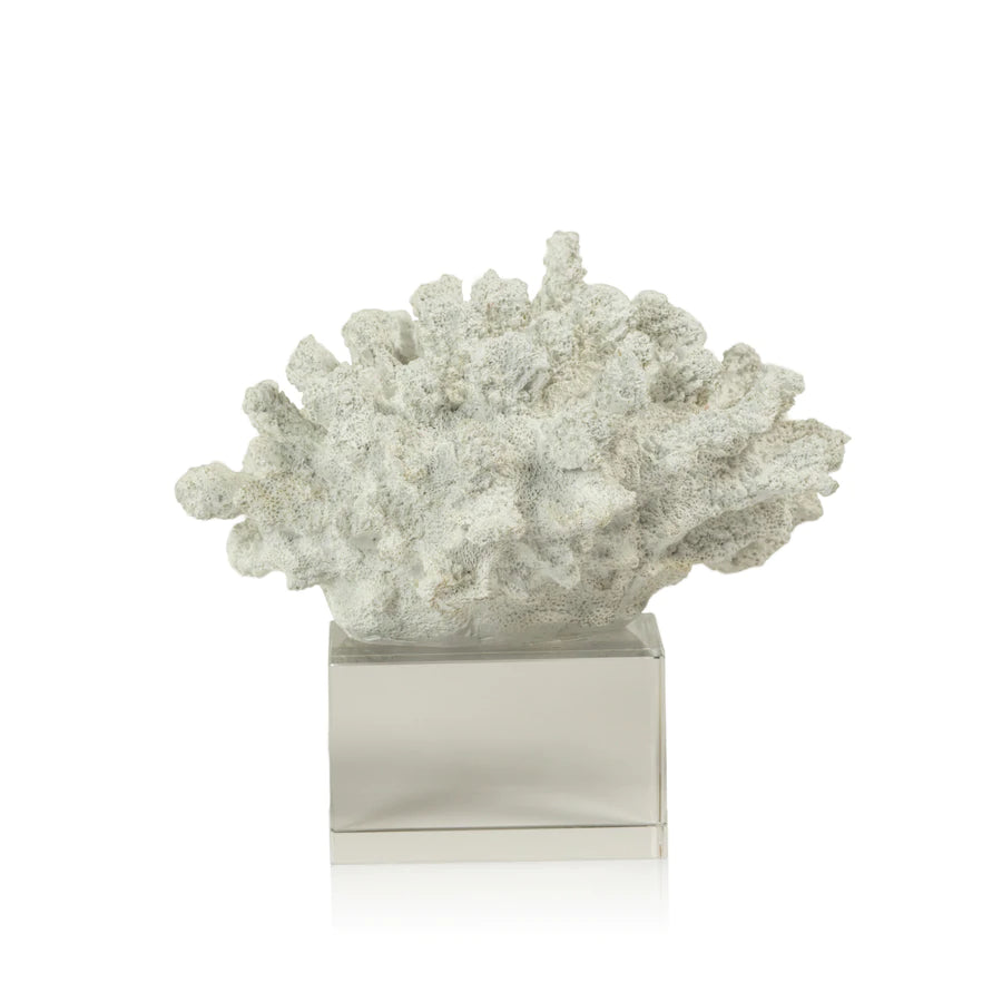 White coral on acrylic base