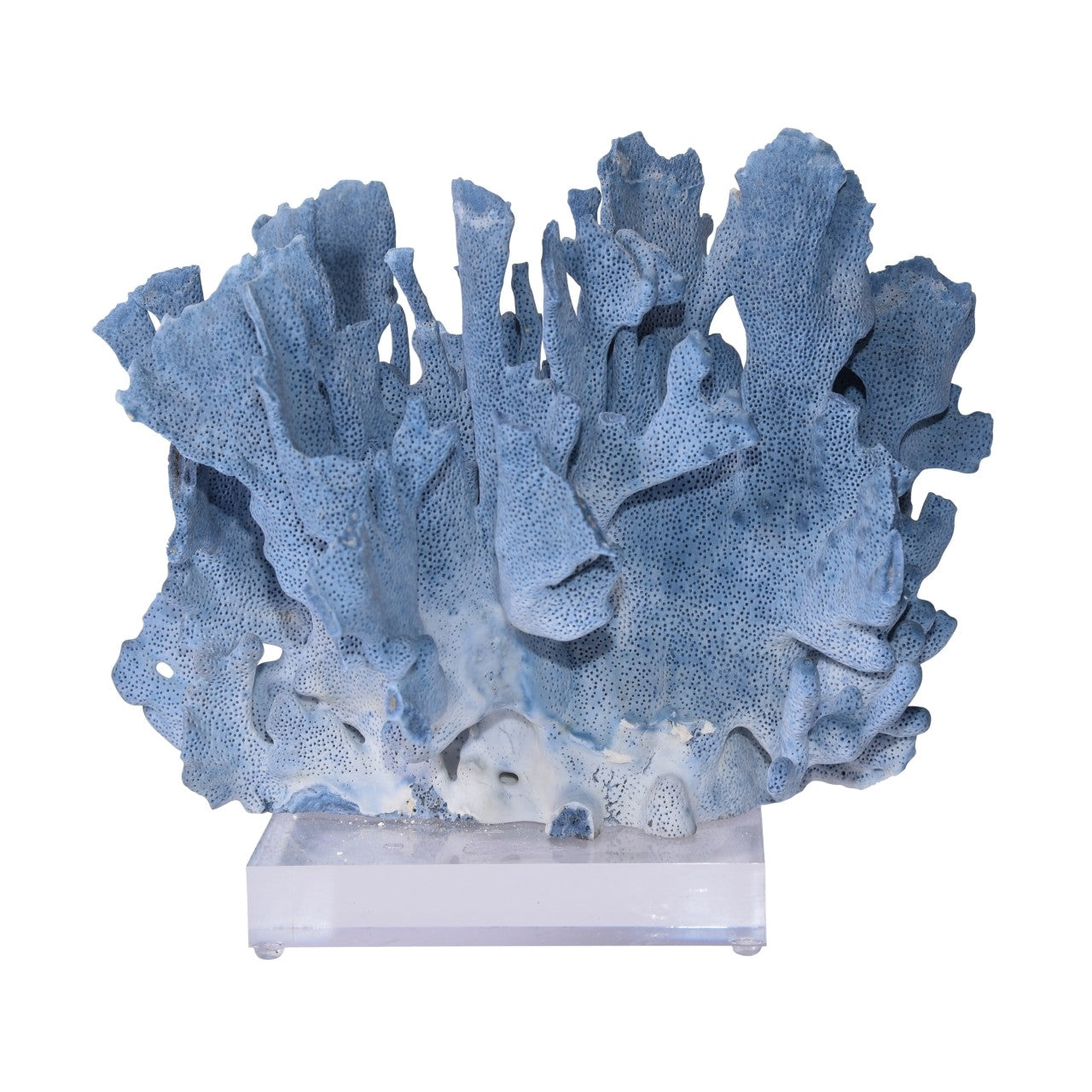 Blue Coral On Acrylic Base