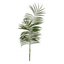 Palm Leaf Branches 47.5" Set