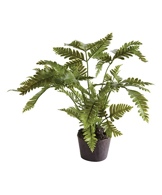 LADY FERN DROP-IN 8.5"